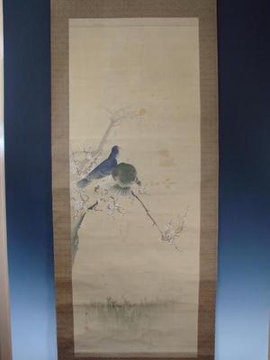 Watanabe Seitei: Two Doves - Japanese Art Open Database
