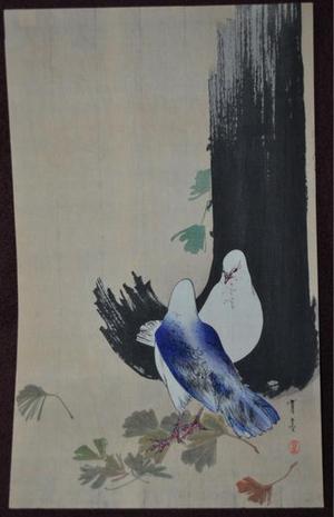 Watanabe Seitei: Two Doves - Japanese Art Open Database