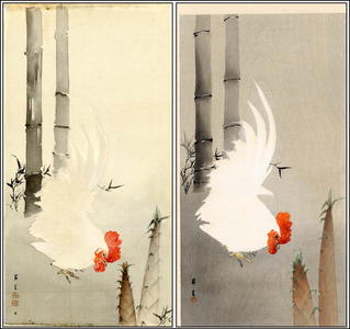 山本昇雲: White Cockerel - Japanese Art Open Database