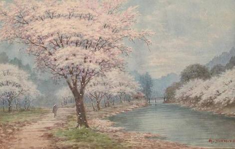 Yoshida A: Cherry Trees in Bloom - Japanese Art Open Database