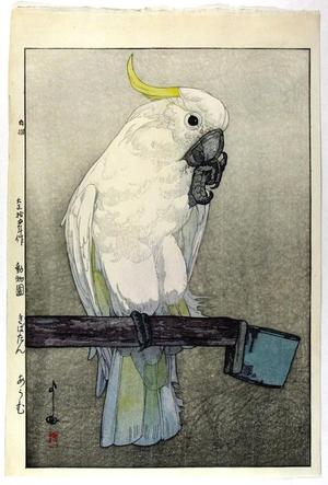 Yoshida Hiroshi: Kibatan Parrot - Sulphur-crested Cockatoo - Japanese Art Open Database