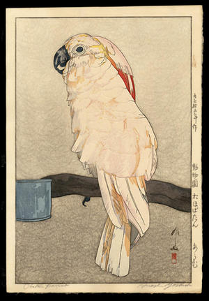 吉田博: Obatan Parrot - Japanese Art Open Database