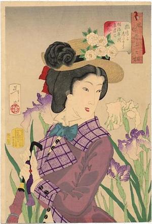 Tsukioka Yoshitoshi: Enjoying a stroll- A Lady of the Meiji Era — 遊歩がしたそう - Japanese Art Open Database