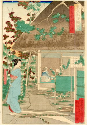 Tsukioka Yoshitoshi: Tagawaya at Daionji Temple — 大音寺前田川屋 - Japanese Art Open Database