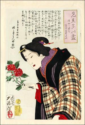 Tsukioka Yoshitoshi: A bijin making an Ikebana flower arrangement - Japanese Art Open Database