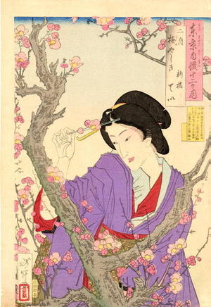 Tsukioka Yoshitoshi: February - Japanese Art Open Database
