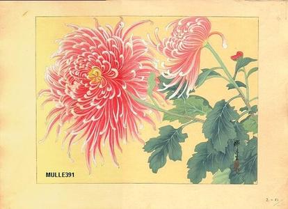 Zuigetsu Ikeda: Chrysanthemum - Japanese Art Open Database