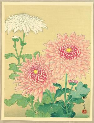 Zuigetsu Ikeda: Chrysanthemums - Japanese Art Open Database