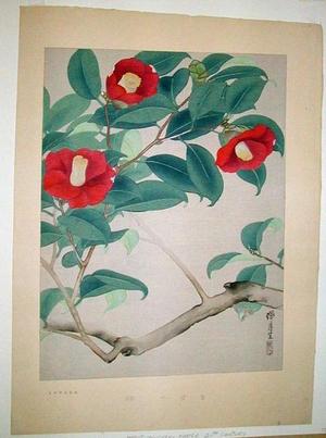 Zuigetsu Ikeda: Flowers 2 - Japanese Art Open Database