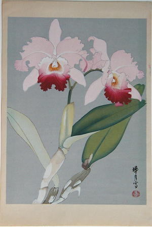 Zuigetsu Ikeda: Orchid 1 - Japanese Art Open Database