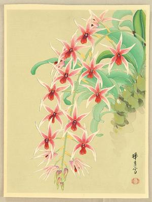 Zuigetsu Ikeda: Orchid 2 - Japanese Art Open Database