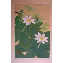 Aoyama Masaharu: Unknown, Flowers 1 - Japanese Art Open Database
