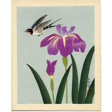 Bakufu Ohno: Bird and Flower 4 - Japanese Art Open Database