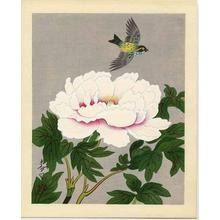 Bakufu Ohno: Bird and Flower 5 - Japanese Art Open Database