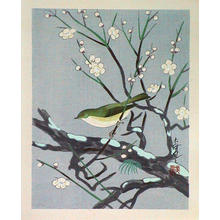 Bakufu Ohno: Unknown, bird, spring - Japanese Art Open Database