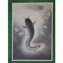 Bakufu Ohno: Catfish — なまず （Namazu） - Japanese Art Open Database