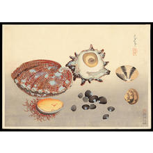 大野麦風: Clams and Mollusks - Japanese Art Open Database