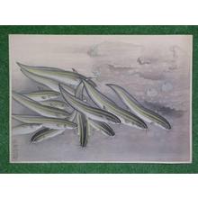 大野麦風: Gonzui- Striped Catfish — ゴンズイ - Japanese Art Open Database