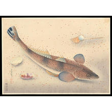 Japanese Print "Kochi- Flathead" by Bakufu Ohno, 大野麦風 (Bakufu Ohno (大野麦風))