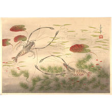 大野麦風: Long Clawed Shrimp — テナガエビ - Japanese Art Open Database