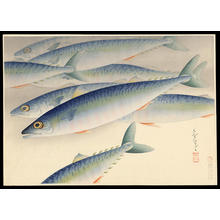 大野麦風: Saba- Mackerels - Japanese Art Open Database