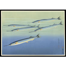 Bakufu Ohno: Sayori- Japanese Needlefish — サヨリ - Japanese Art Open Database
