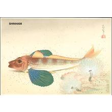 Bakufu Ohno: Sea Robin - Japanese Art Open Database