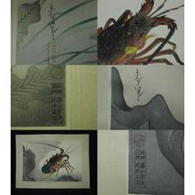 大野麦風: Spiny Lobster — 伊勢海老 - Japanese Art Open Database