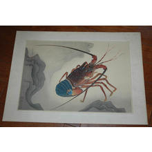 大野麦風: Spiny Lobster — 伊勢海老 - Japanese Art Open Database