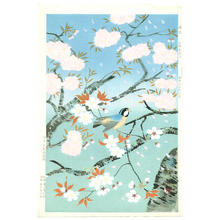 Bakufu Ohno: Bird and cherry blossoms - V1 — 桜と小鳥 - Japanese Art Open Database
