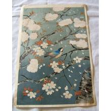 大野麦風: Bird and cherry blossoms - V1 — 桜と小鳥 - Japanese Art Open Database