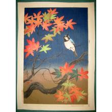 大野麦風: Bird and tree (2nd state) - Japanese Art Open Database