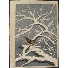 Bakufu Ohno: Bird on snowed cherry tree - Japanese Art Open Database