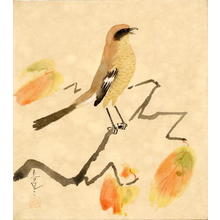 大野麦風: Singing Bird in a Persimmon Tree - Japanese Art Open Database
