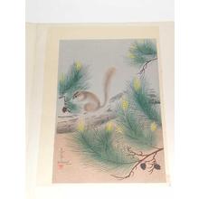 Bakufu Ohno: Squirrel in a pine tree - Japanese Art Open Database