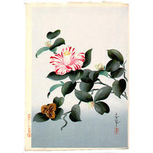 大野麦風: Unknown- Camellia - Japanese Art Open Database