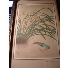 大野麦風: Unknown, bird and plant - Japanese Art Open Database