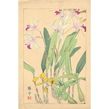 Chigusa Soun: Flowers of Japan 1 - Japanese Art Open Database