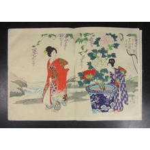 Toyohara Chikanobu: Wisteria Garden - Japanese Art Open Database