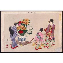 Toyohara Chikanobu: chrysanthemums - Japanese Art Open Database