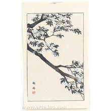 Etsuho: Cherry Tree in Spring - Japanese Art Open Database