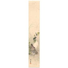 Fukui Kotei: Doves - Japanese Art Open Database