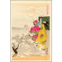 尾形月耕: Cherry Blossom Viewing - Japanese Art Open Database