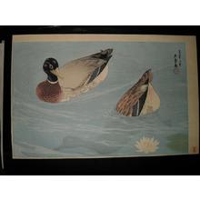 Hashiguchi Goyo: Mandarin Ducks — 鴛鴦鴨 - Japanese Art Open Database