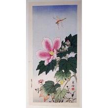 Hashimoto: Unknown, Dragonfly and Flowers - Japanese Art Open Database