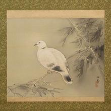 Hashimoto Kansetsu: A Dove Up In The Branches — 枝上の鳩 - Japanese Art Open Database