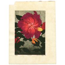 Hayashi Waichi: Hibiscus - Japanese Art Open Database