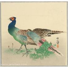 平福穂庵: Pheasants - Japanese Art Open Database