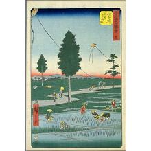 Utagawa Hiroshige: Fukuroi - Japanese Art Open Database
