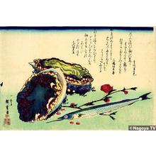 歌川広重: Abalon and Snipe — あわびとさよりに桃 - Japanese Art Open Database